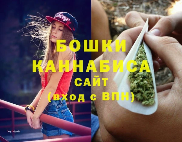 СК Дмитров