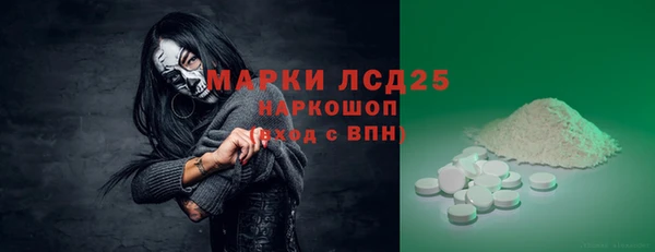 СК Дмитров