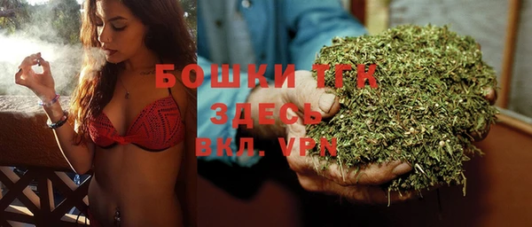 стаф Дмитровск