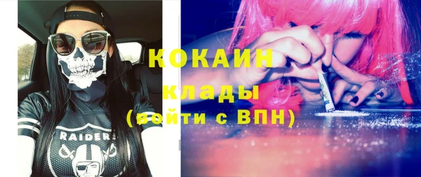 СК Дмитров