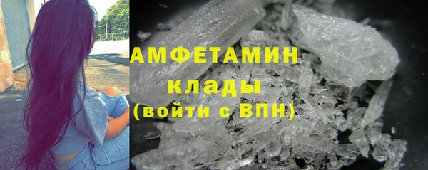 стаф Дмитровск