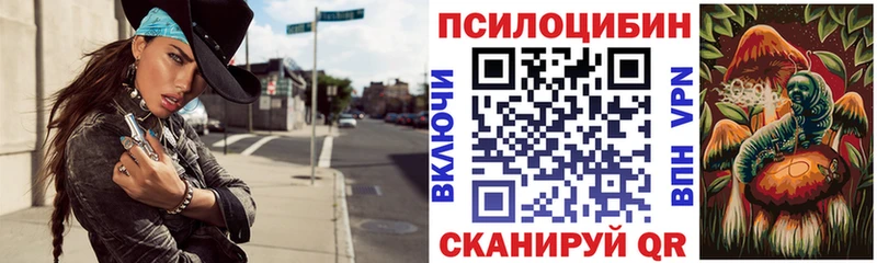 где купить наркоту кракен как зайти Псилоцибиновые грибы Magic Shrooms Куровское